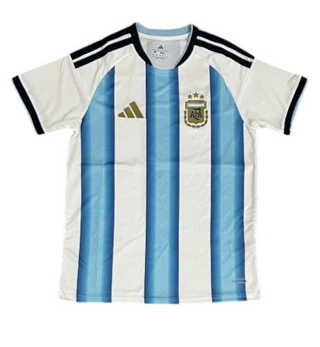 IVO Argentina national team soccer jersey featuring white and light blue stripes with team crest and gold logo
